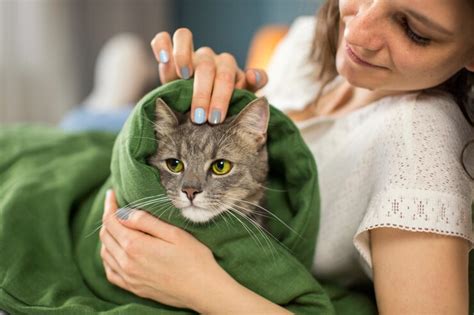 kedi tüyü alerjisi nasıl geçer